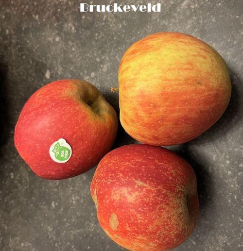 APPEL Belle de Boskoop